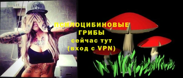 ПСИЛОЦИБИНОВЫЕ ГРИБЫ Няндома