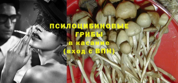ПСИЛОЦИБИНОВЫЕ ГРИБЫ Няндома