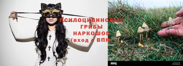 a pvp Осташков