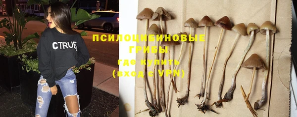 круглые Нязепетровск