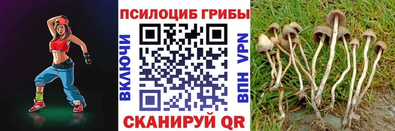 Галлюциногенные грибы Magic Shrooms  Купить  Усть-Джегута 